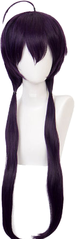 Kyoka Izumi Wig