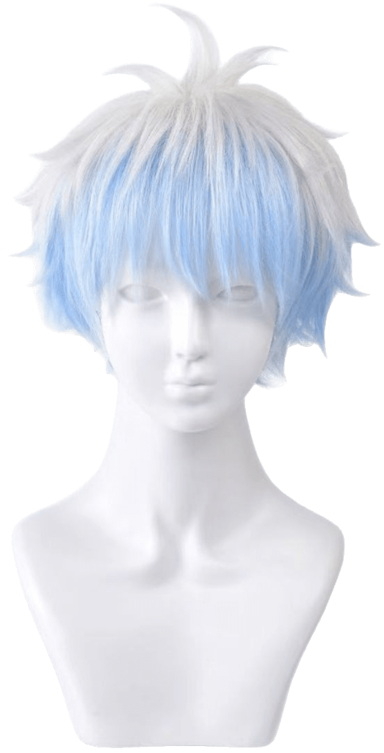 Sakata Gintoki Wig