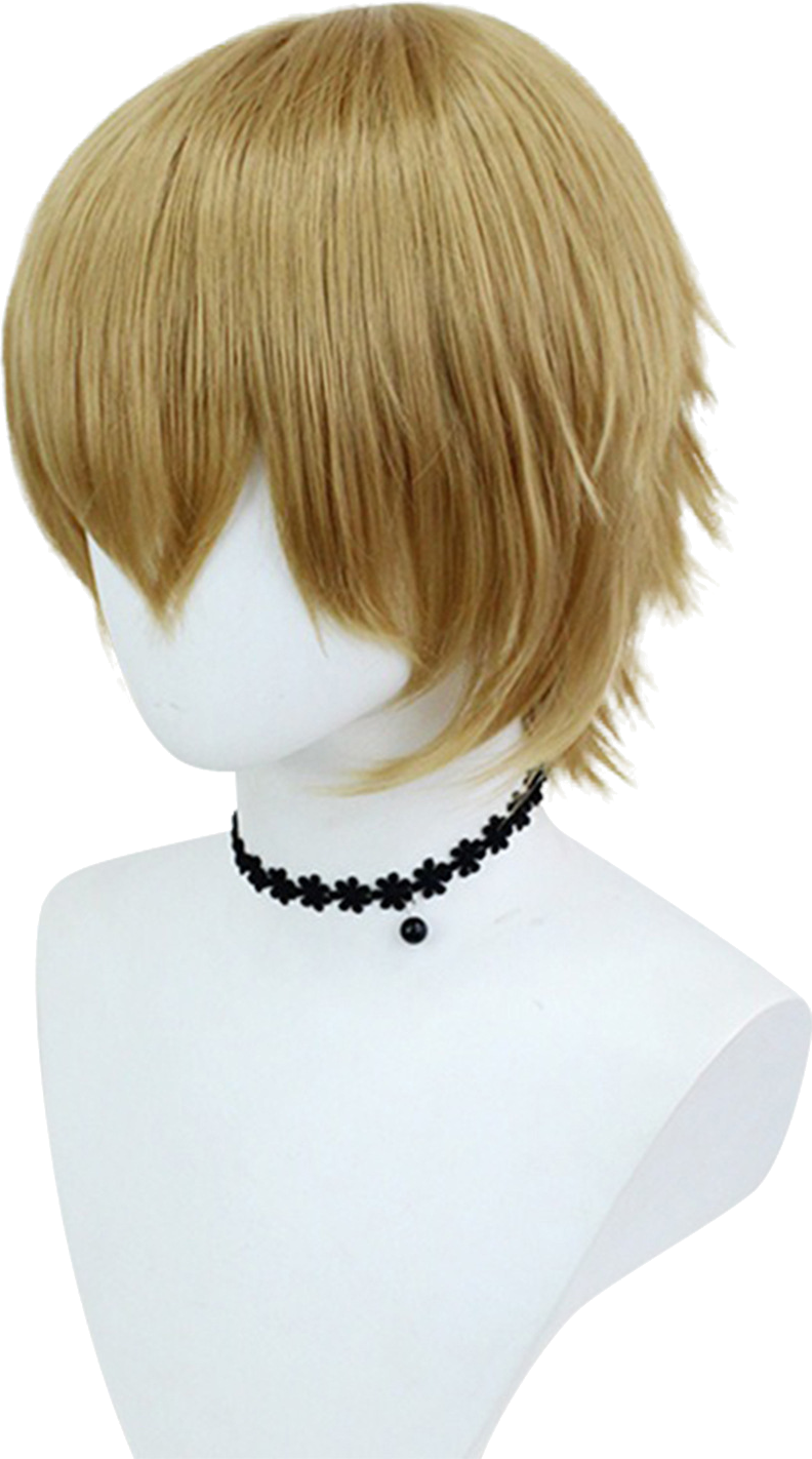 Aigis Wig
