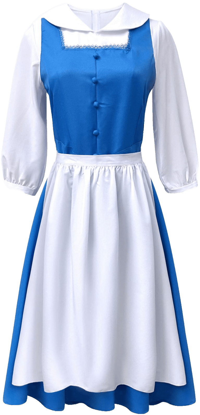 Alice Costume