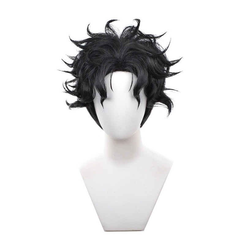 Ken Takakura Wig
