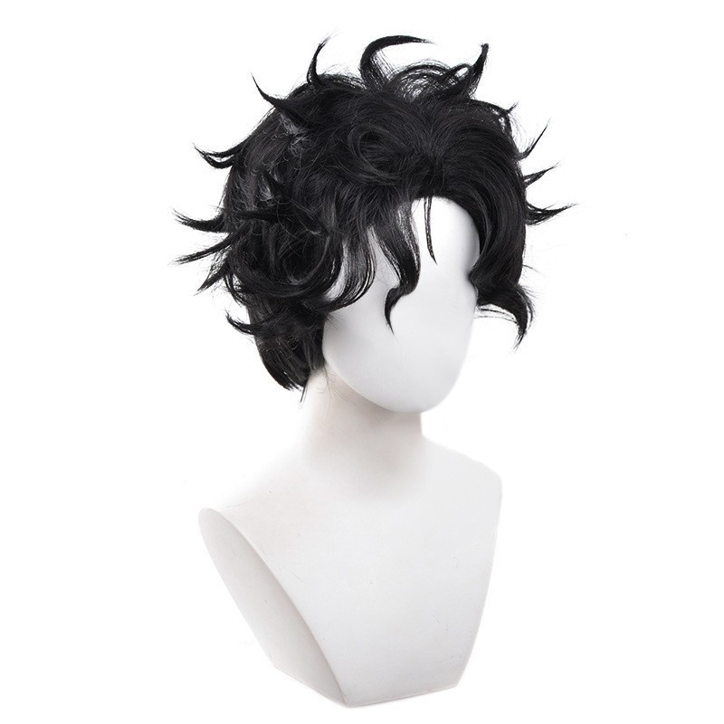 Ken Takakura Wig