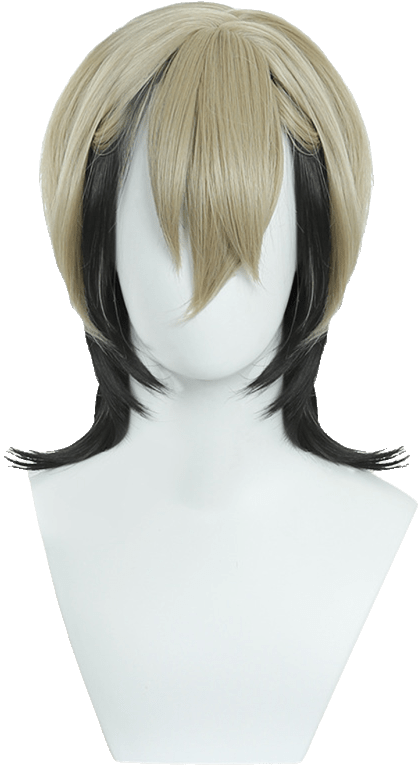 Zanka Nijiku Wig