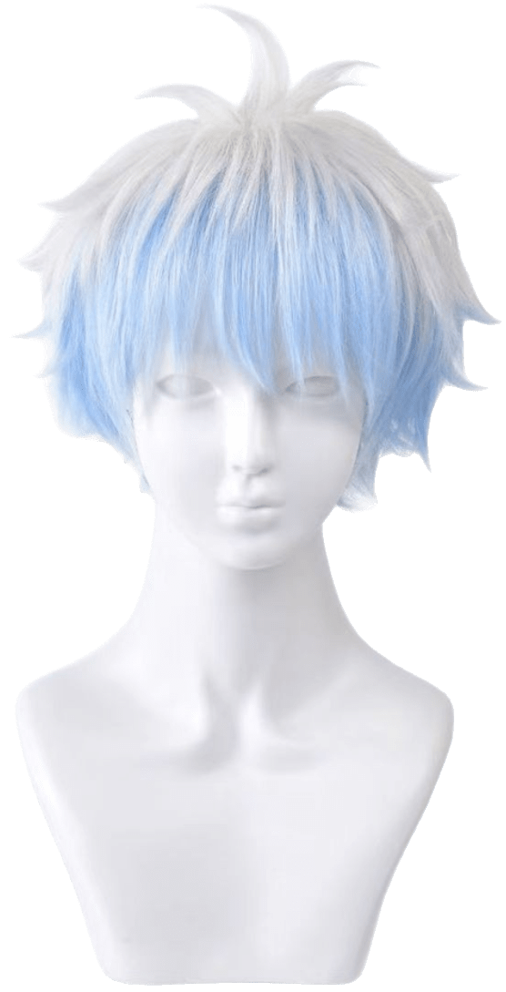 Sakata Gintoki Wig