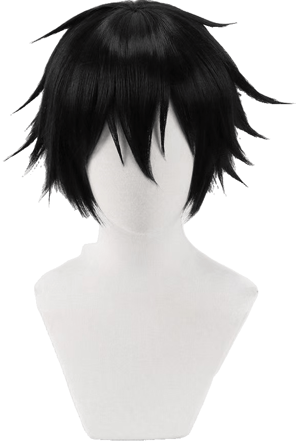 Kirigaya Kazuto Wig