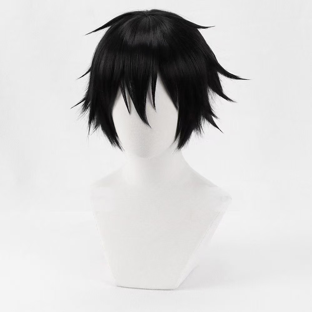 Kirigaya Kazuto Wig