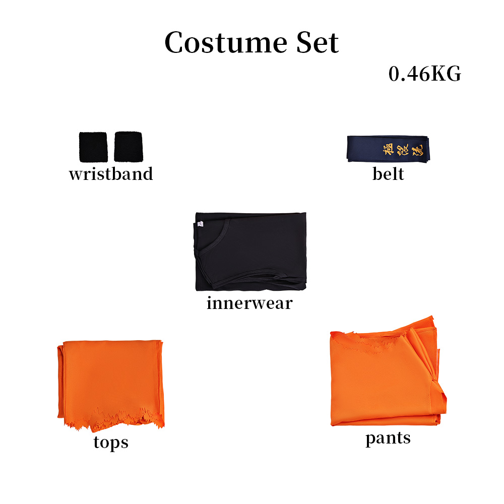 Ryo Sakazaki Costume